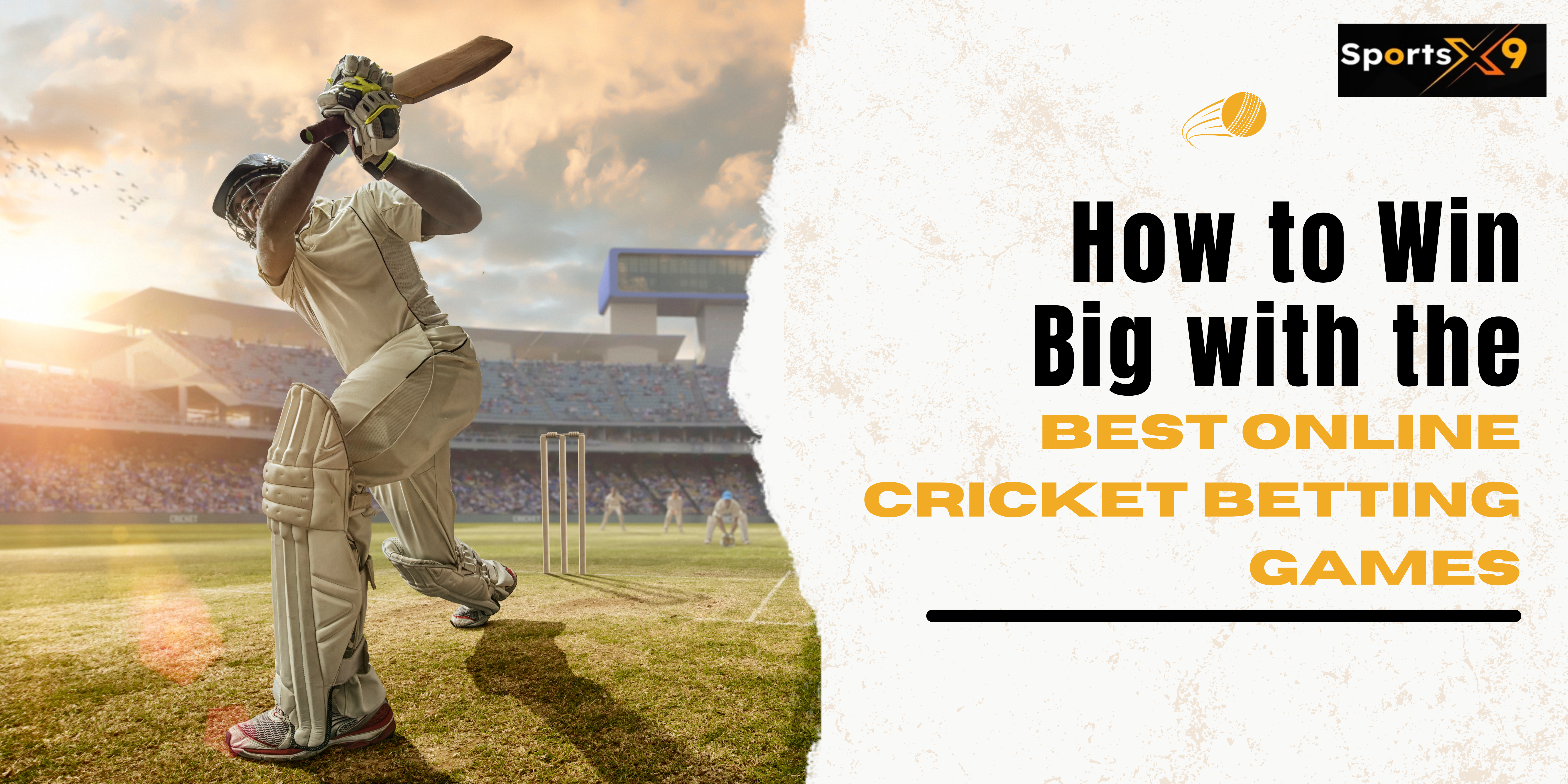 How to Win Big with the Best Online Cricket Betting Games