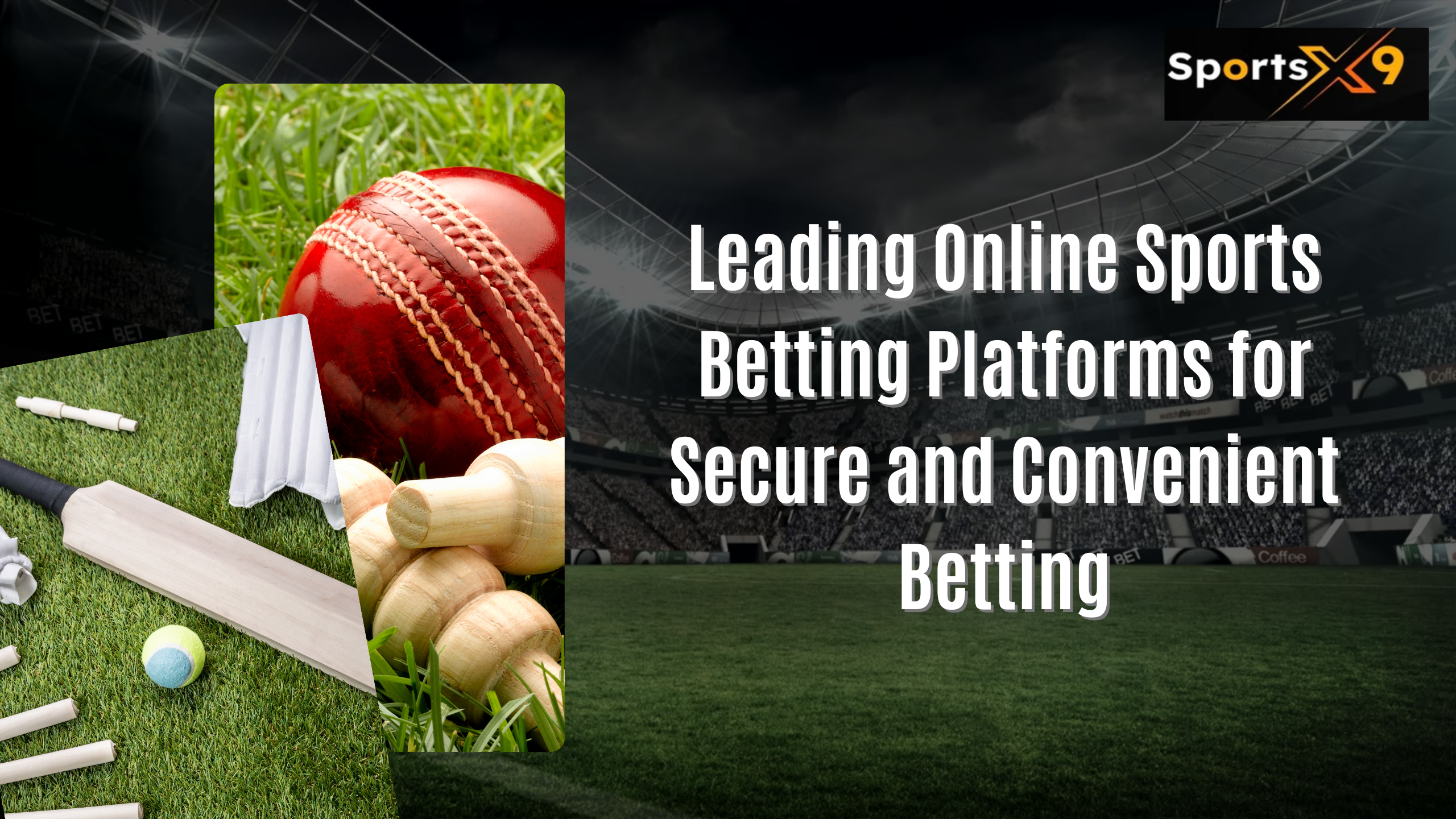 Leading Online Sports Betting Platforms for Secure and Convenient Betting