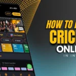 How To Bet On Cricket Online In India